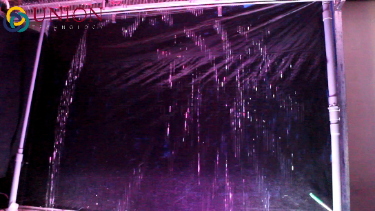 Snapshot 1