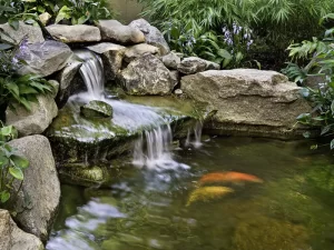 Thiết kế đài phun nước bể cá - UNION