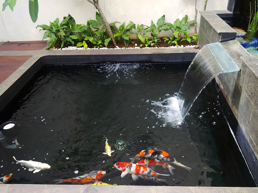 Thác nước hồ cá koi ảnh hưởng đến phong thủy như thế nào - UNION Một số nguyên tác cần chú ý khi thiết kế hồ cá Koi theo phong thủy - UNION